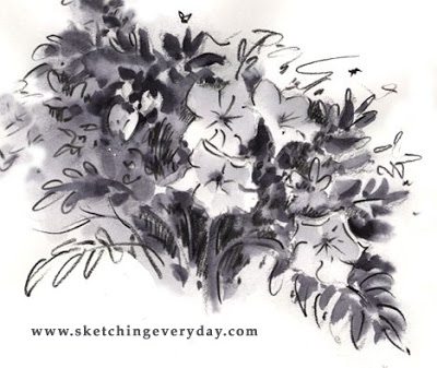400x337 Drawing Everyday Wildflower Sketch - Wildflower Sketch