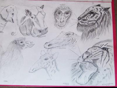 400x300 My 1st Sketches Of Wildlife - Wildlife Sketches