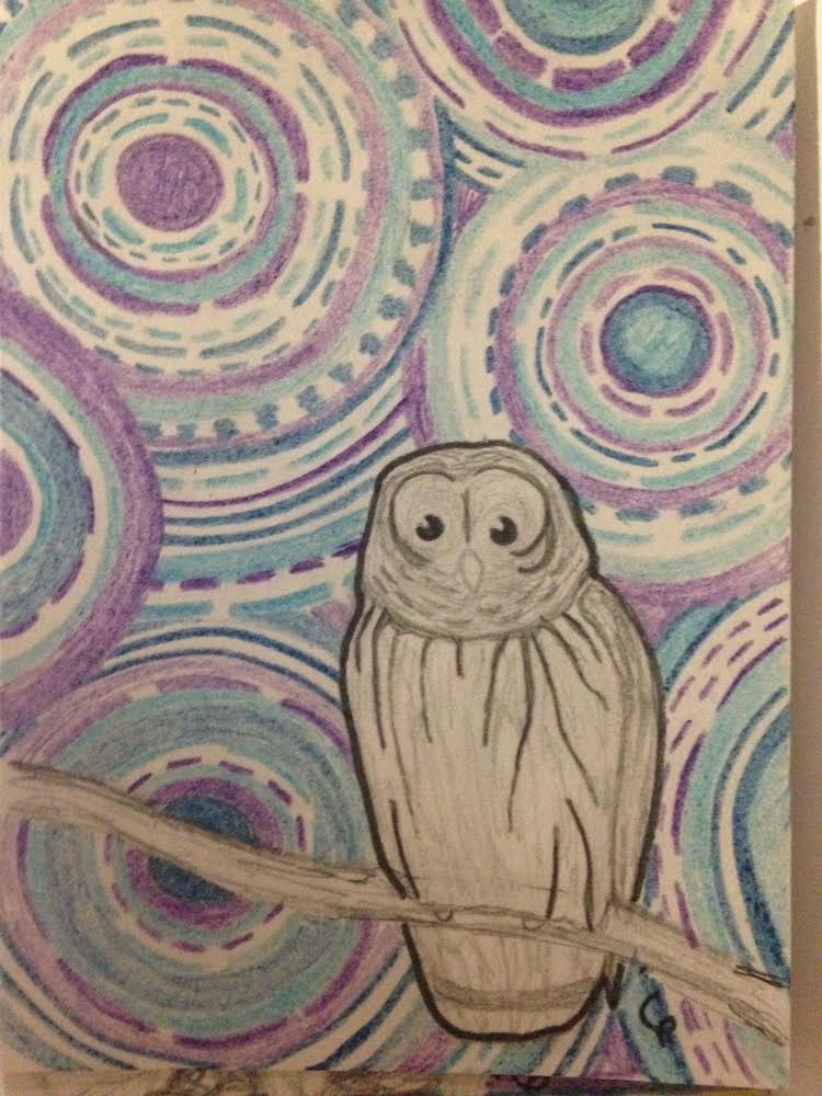 750x1000 Wildlife Sketches Chintimini Wildlife Center Blog - Wildlife Sketches