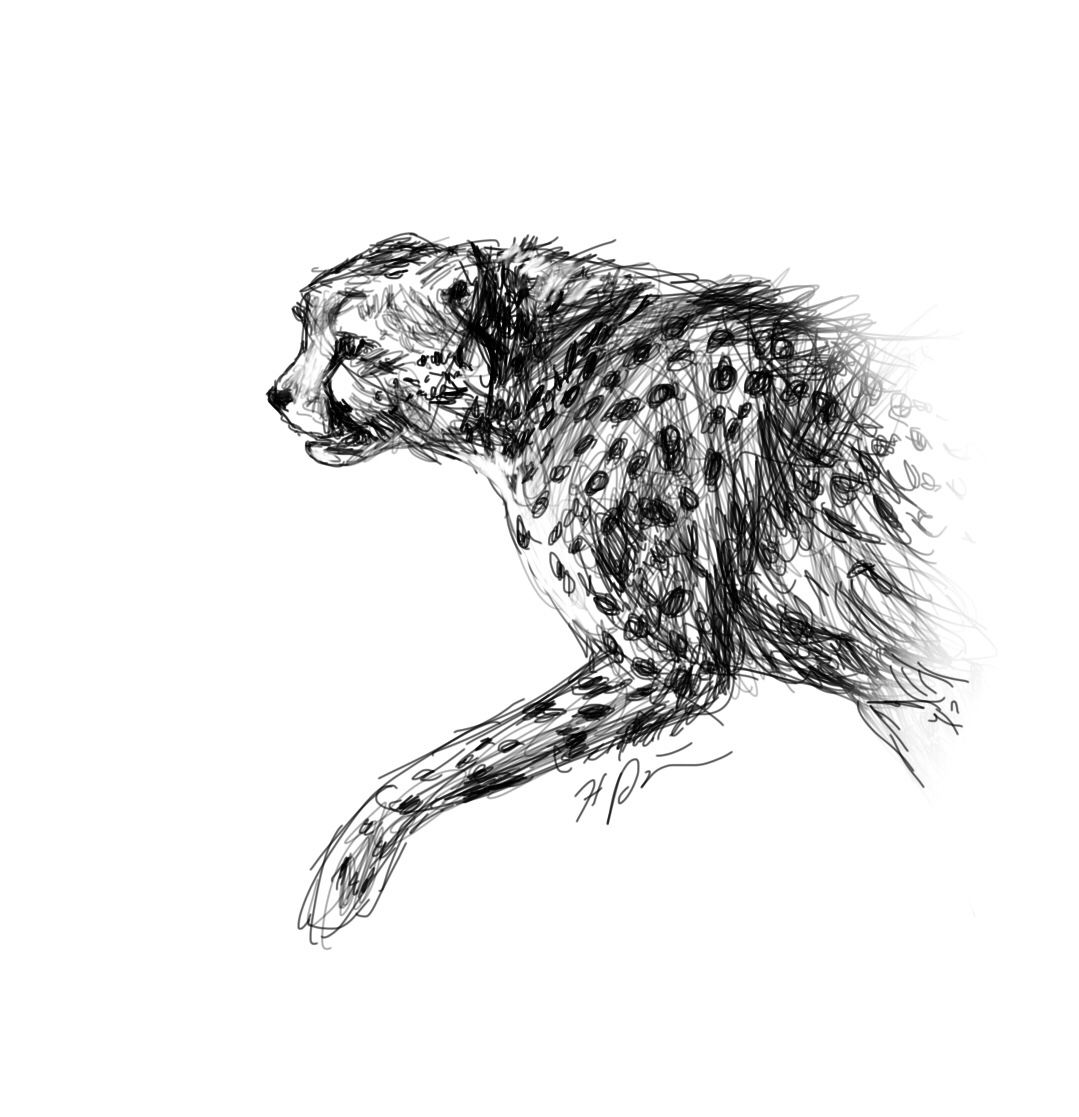 1079x1117 Wildlife Sketches The Zoologists Sketchbook - Wildlife Sketches