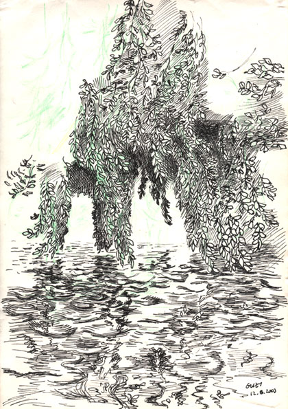 420x595 Sketch Of A Weeping Willow With Branches In Water - Willow Sketch
