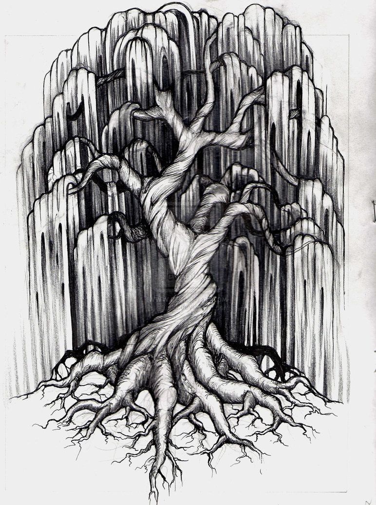 772x1036 Willow Tree Tattoo Tattoo Inspiration Willow Tree - Willow Sketch
