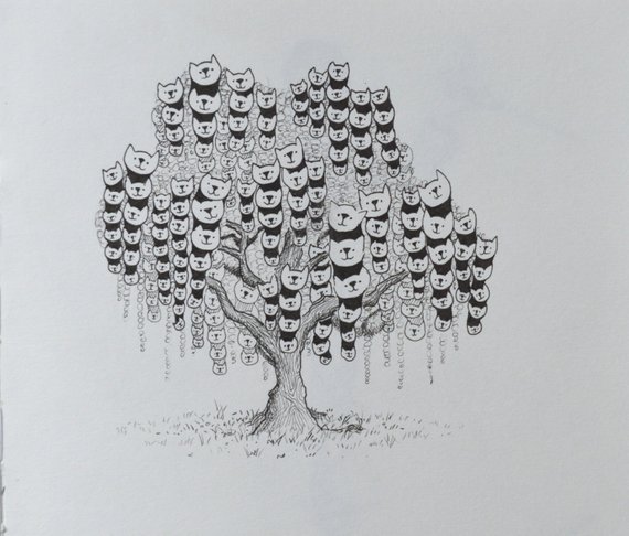 570x486 Original Pussy Willow Drawing Or 1 Of 5 Limited Etsy - Willow Sketch