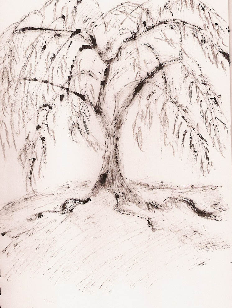 746x990 Mascara Tree Sketch Quinncreative - Willow Tree Sketch