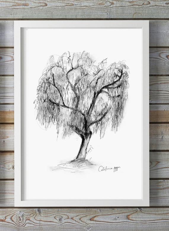 570x780 Tree Art Pencil Drawing Willow Tree Print California Etsy - Willow Tree Sketch