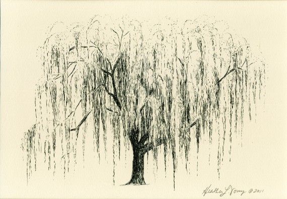 Willow Tree Sketch at PaintingValley.com | Explore collection of Willow ...