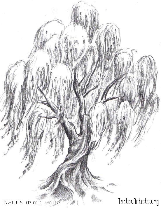 552x710 Willow Tree Shared By Alisha On We Heart It - Willow Tree Sketch