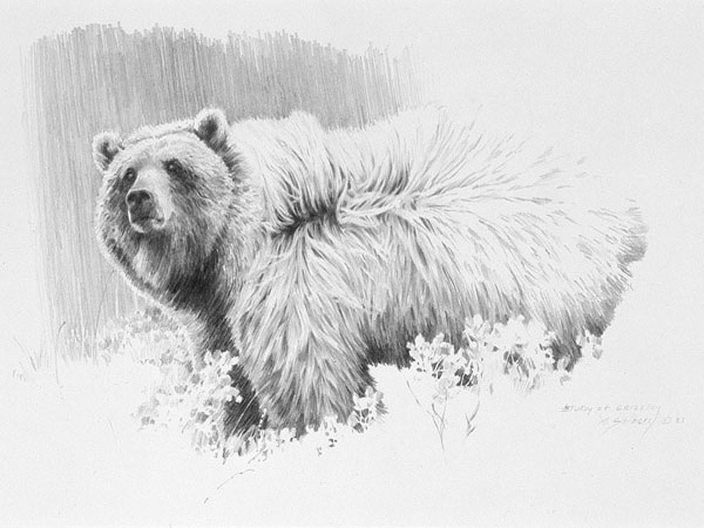 1000x750 Into The Wind Sketch By Morten E. Solberg - Wind Sketch