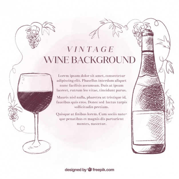 626x626 Sketches Wine Vintage Background Vector Free Download - Wine Bottle And Glass Sketch