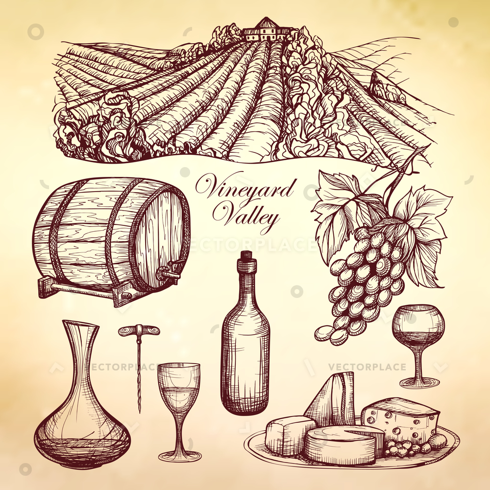 1000x1000 Wine Sketch Collection Barrel Drink Glass Vector Illustration - Wine Sketch
