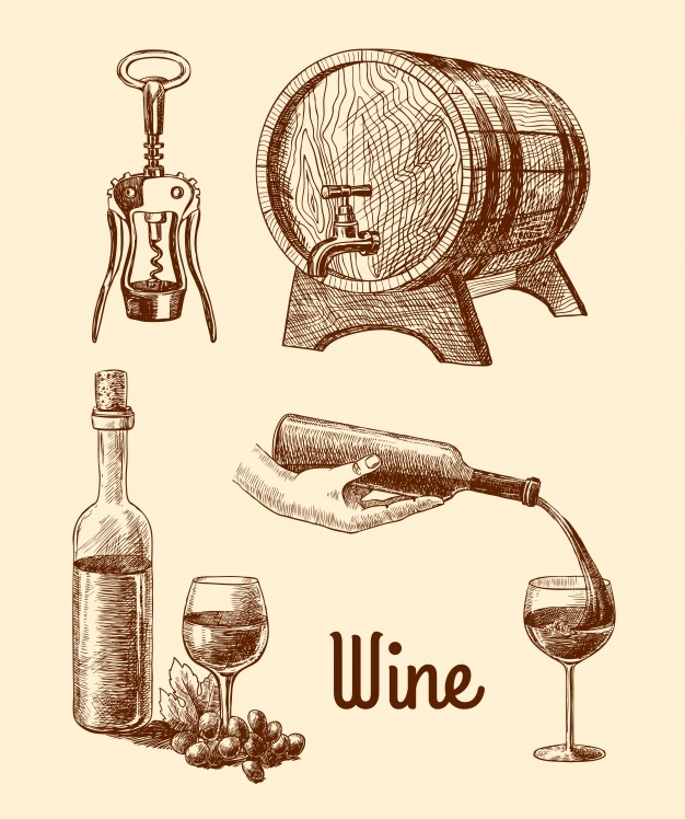 626x748 Wine Vectors, Photos And Psd Files Free Download - Wine Sketch