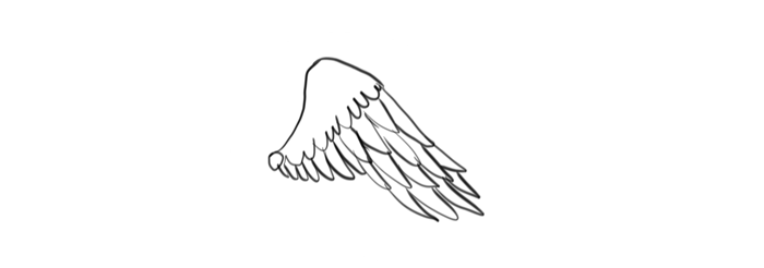 700x246 How To Draw And Animate Wings Birds, Bats, And More - Wings Sketch
