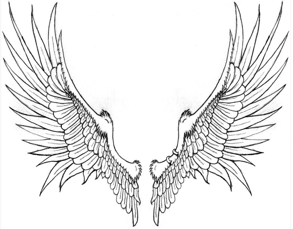 1010x790 Wings Tattoo Images Amp Designs - Wings Tattoo Sketch
