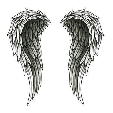 365x365 Angel Wing Tattoos - Wings Tattoo Sketch