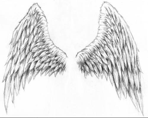 500x397 Hottoe Zombie Designstattoo Angel Wings - Wings Tattoo Sketch