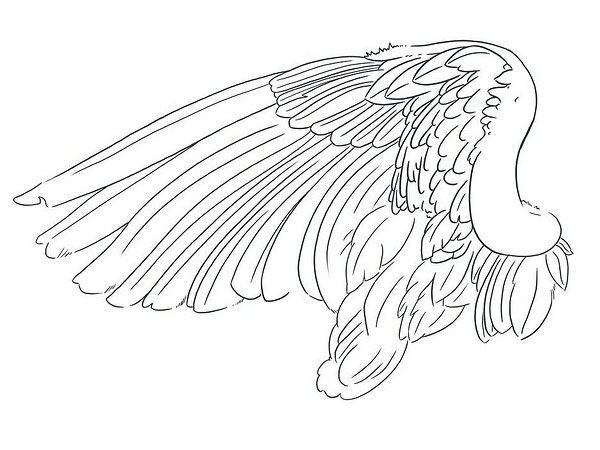 600x450 30 Mind Blowing Tattoo Sketches - Wings Tattoo Sketch