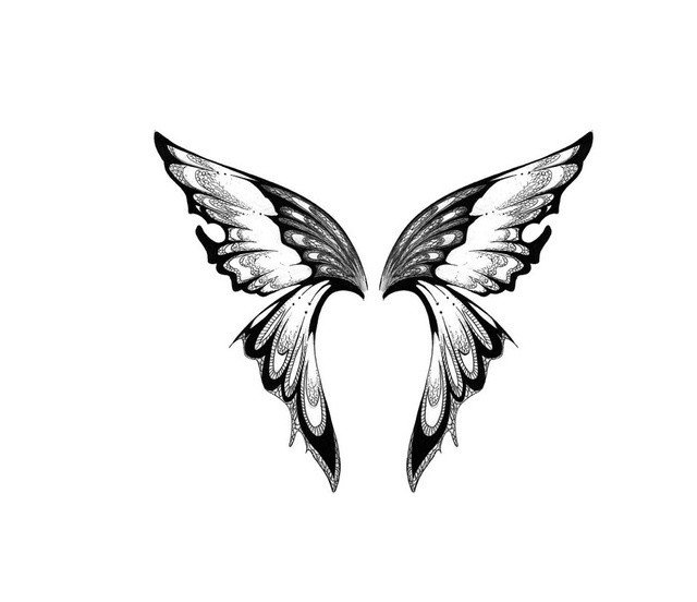 640x552 Fairy Wings Tattoos Ideas - Wings Tattoo Sketch