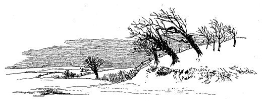 521x202 Simple Snow Scene Drawing - Winter Landscape Sketch
