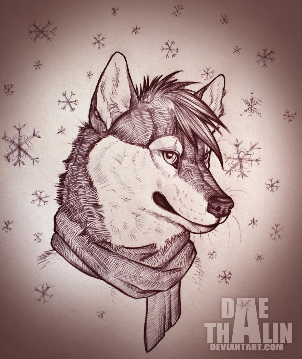 1010x1200 Winter Hibernalski On Twitter A Sketch For The - Winter Season Sketch