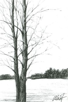 236x353 63 Best Sketches - Winter Tree Sketch