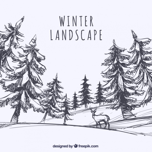 626x626 Sketch Of Landscape With Trees And Deer Vector Free Download - Winter Tree Sketch