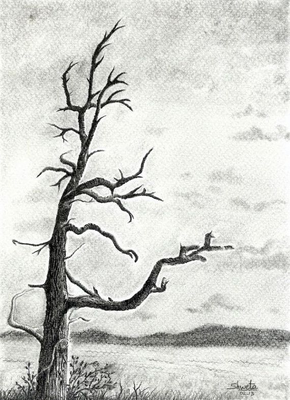 570x786 Bare Winter Tree Pencil Drawing Art Winter - Winter Tree Sketch