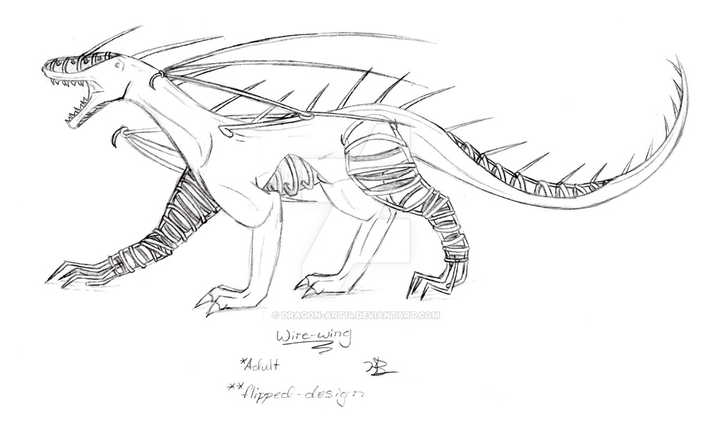 1024x607 Wire Wing Sketch 2 By Dragon Art14 - Wire Sketch