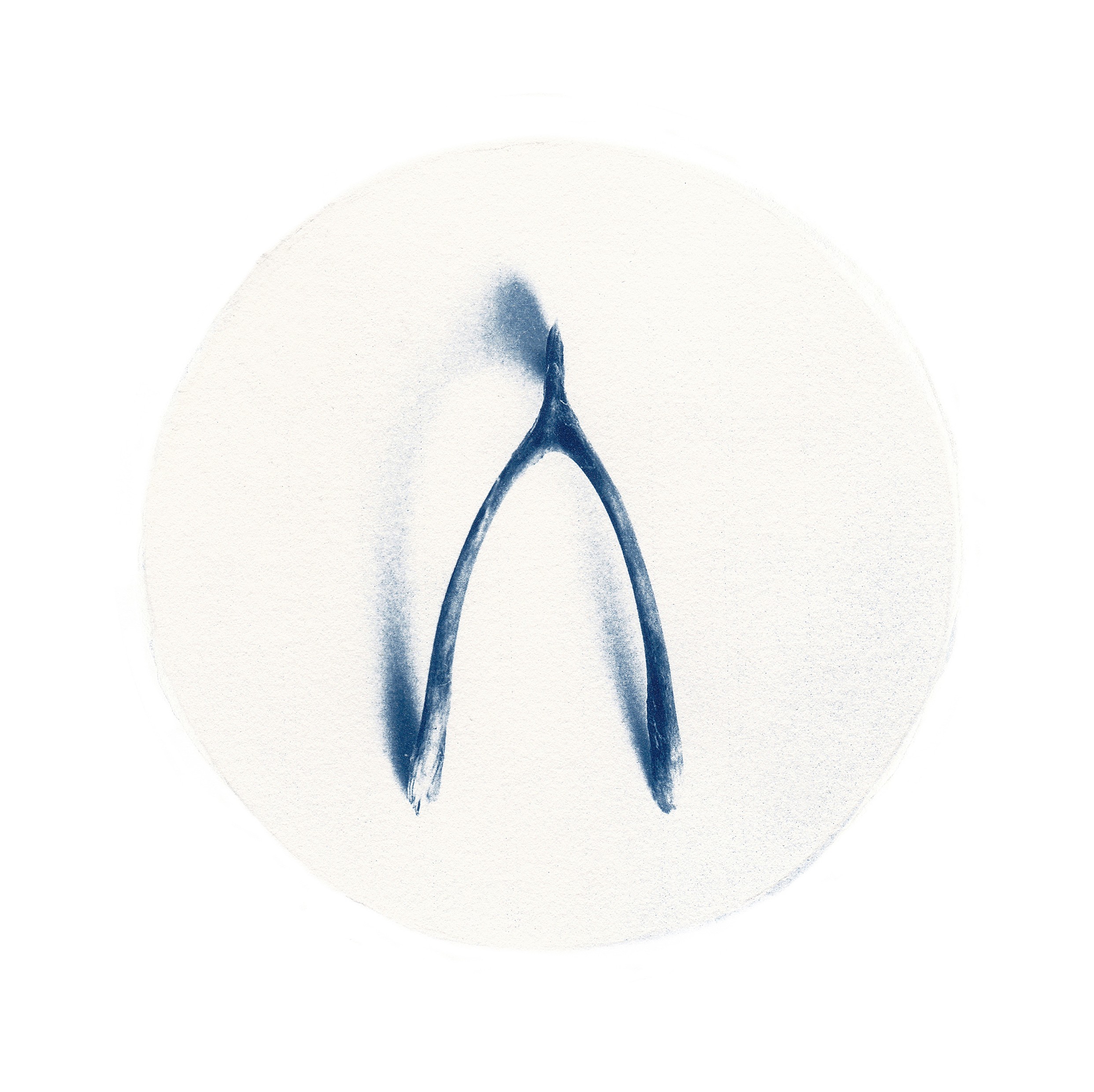 2484x2480 Wishbone (Small S - Wishbone Sketch