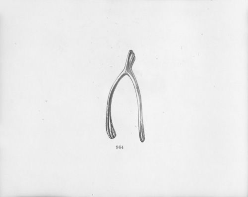 500x398 A Forked Bone (The Furcula) Between The Neck And... In 2018 Cool - Wishbone Sketch