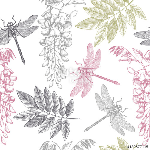 500x500 Seamless Pattern With Hand Drawn Dargonfly And Wisteria Flowres - Wisteria Sketch