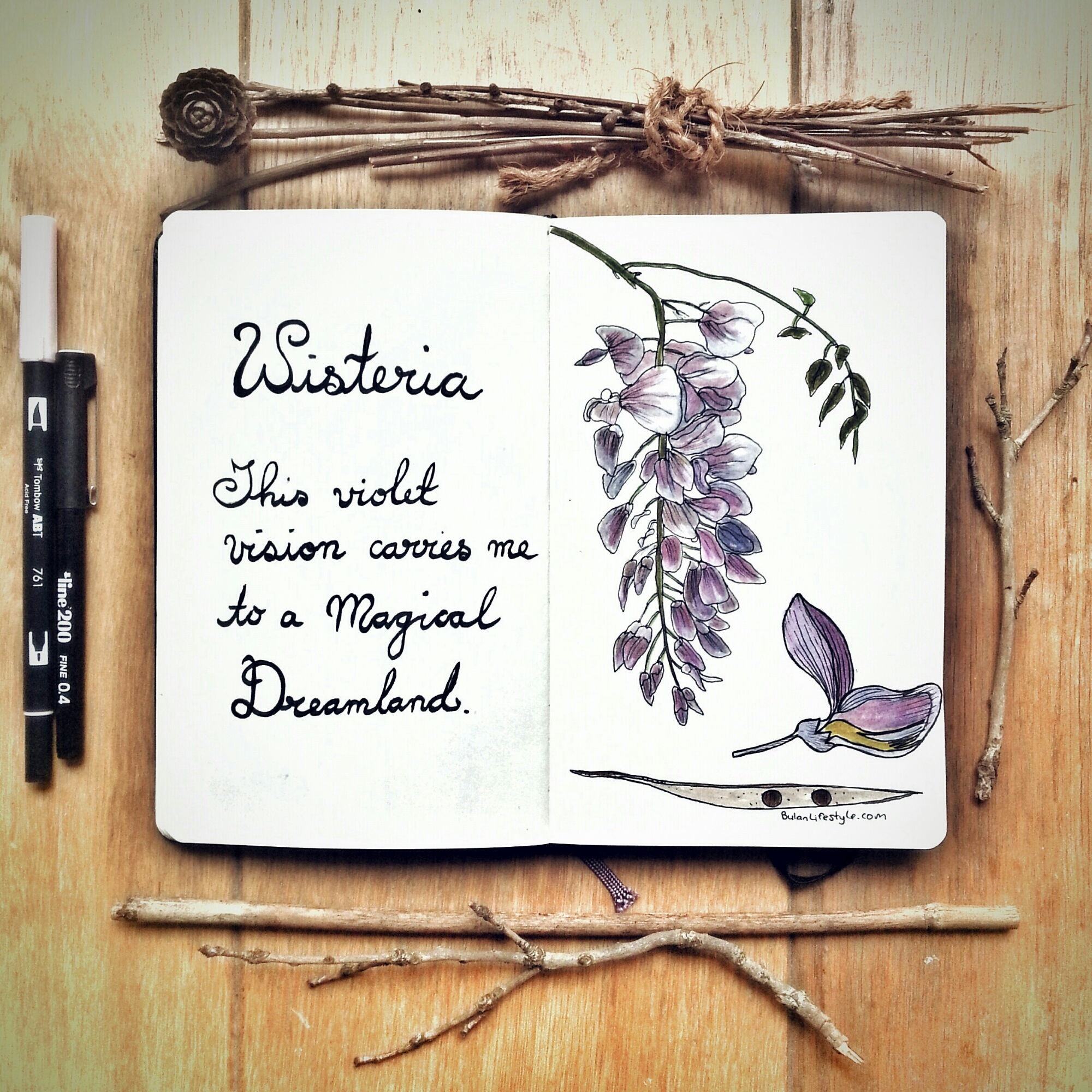 2000x2000 Sketch Of The Day No 897 In My Moleskine Art Journal Wisteria - Wisteria Sketch