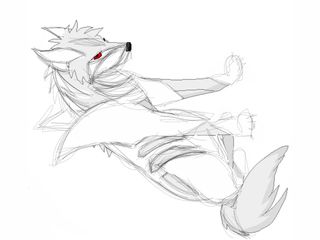 320x240 One Old Sketch With A Base For The Wolf - Wolf Base Sketch
