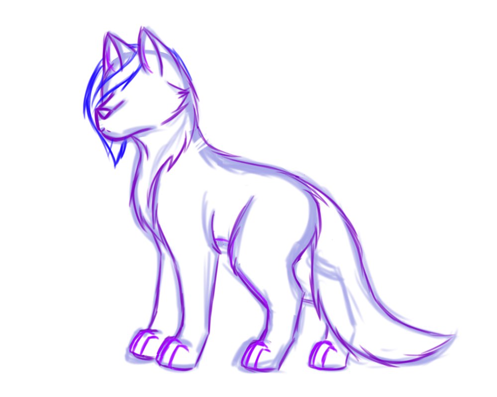 999x799 New Wolf Body (Sketch) By Halopiexd - Wolf Body Sketch