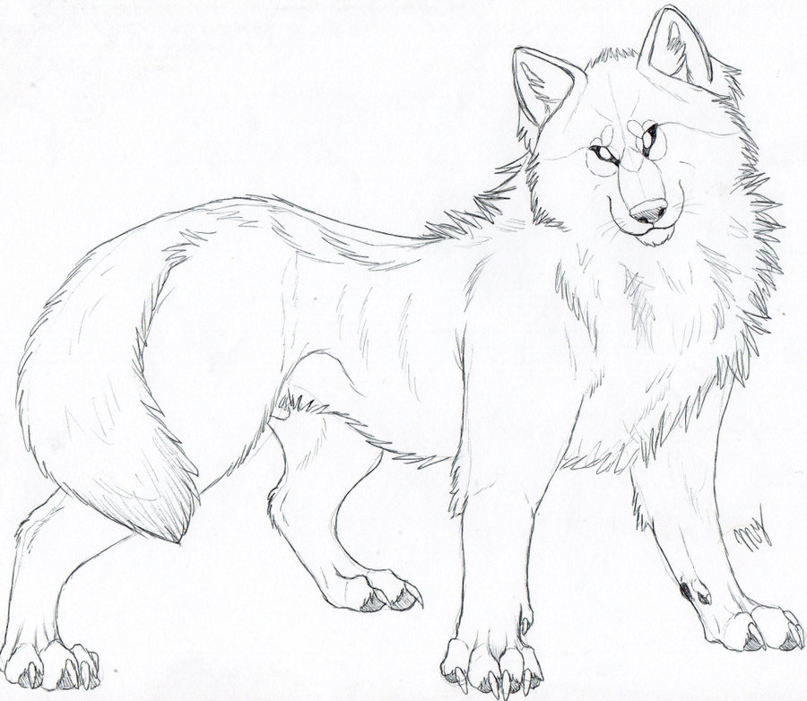 900x782 Wolf Body Pose By Suenta Deathgod - Wolf Body Sketch