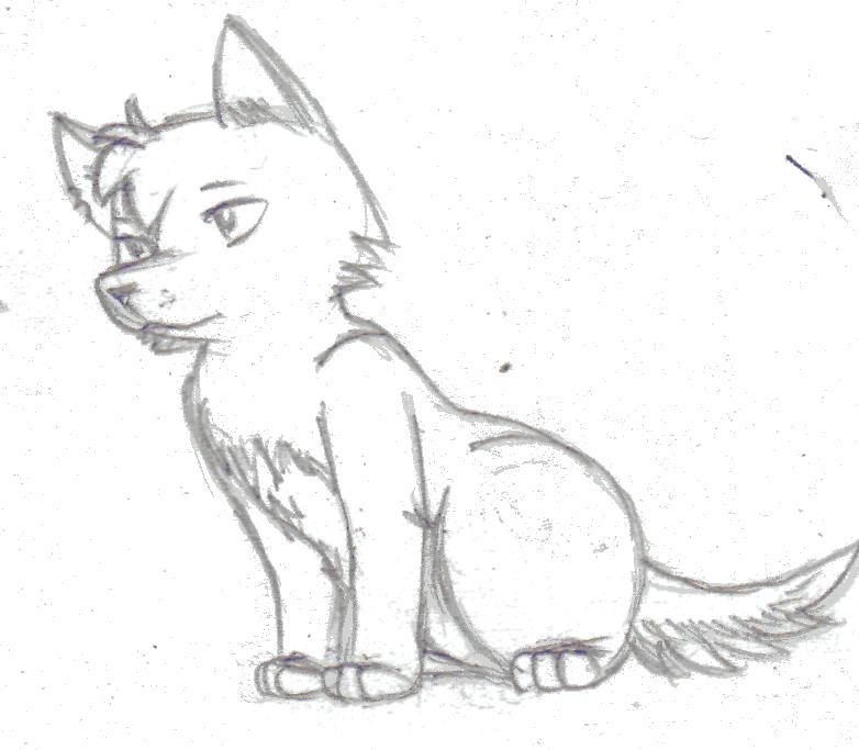 782x683 Drawn Simple Wolf - Wolf Cartoon Sketch