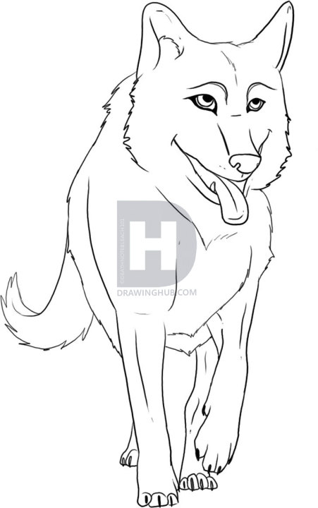 451x720 How To Draw A Cartoon Wolf, Step By Step, Drawing Guide, By - Wolf Cartoon Sketch