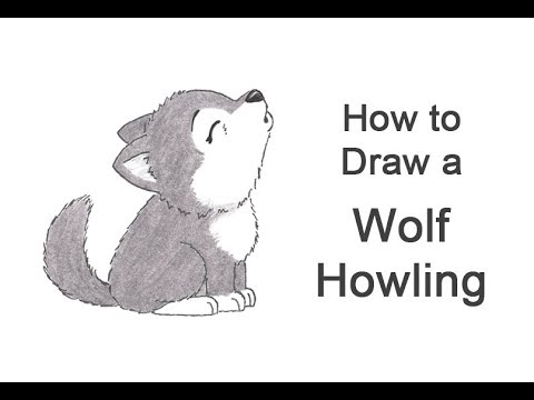 480x360 How To Draw A Wolf Howling (Cartoon) - Wolf Cartoon Sketch
