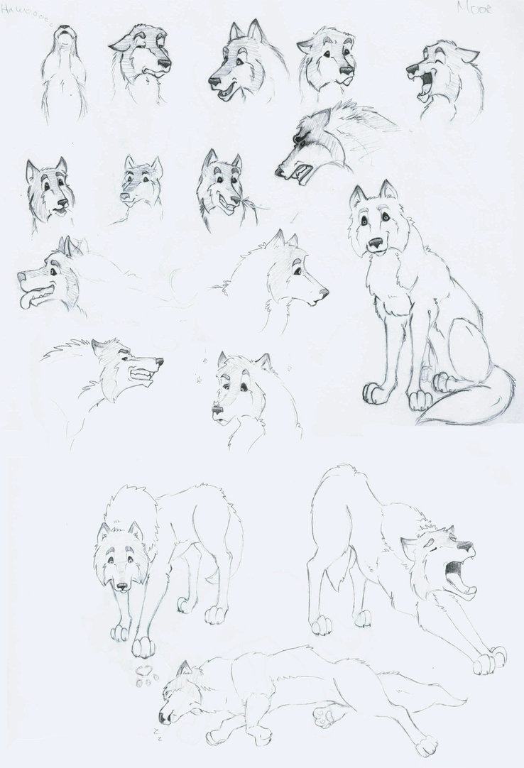738x1082 Wolf Cartoon Sketches By Greenleafcm - Wolf Cartoon Sketch