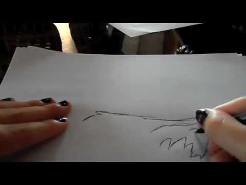 480x360 Speed Drawing - Wolf Ears Sketch