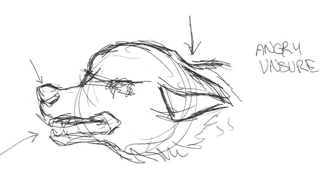 1053x604 Facial Expressions The Democracy Of Wolves - Wolf Ears Sketch