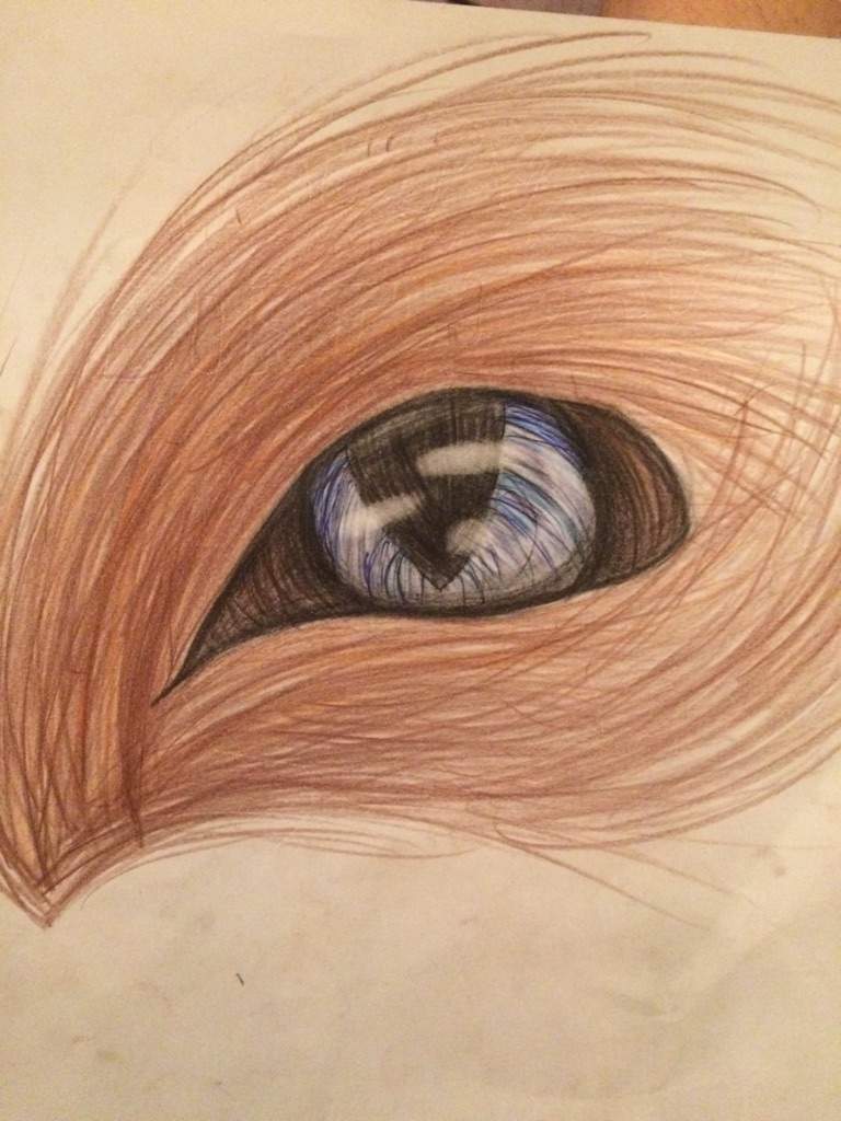 768x1024 Realistic Wolf Eye Animal Amino - Wolf Eye Sketch