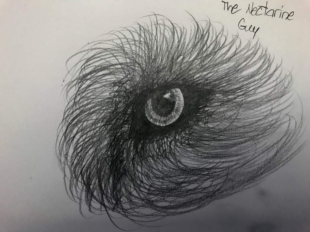 1024x768 Wolf Eye Sketch Art Amino - Wolf Eye Sketch