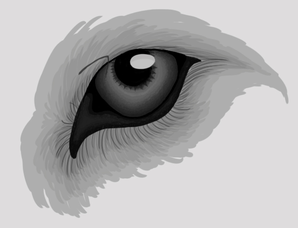 611x468 Wolf Eye Sketch By Elementalfatewolf11 - Wolf Eye Sketch