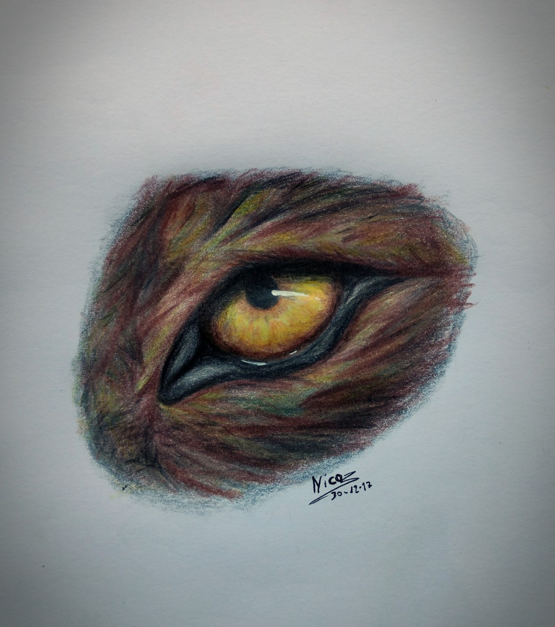 1134x1280 Wolf Eye By Nidrox - Wolf Eye Sketch