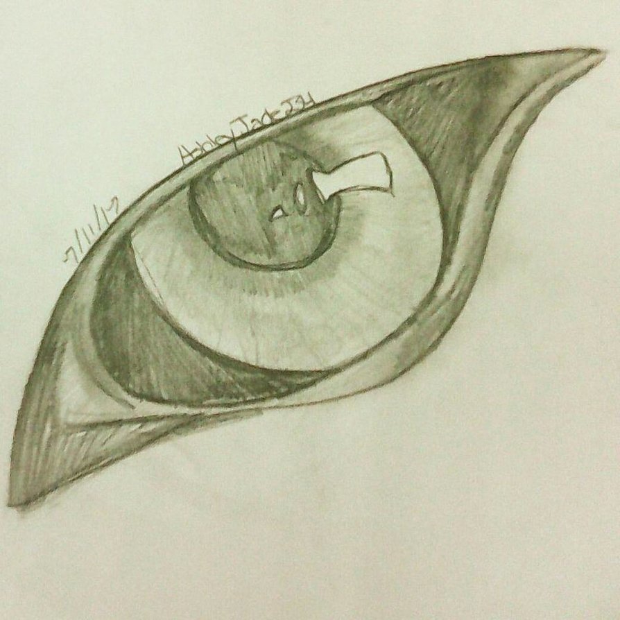 894x894 Wolf Eye By Ashleyjade234 - Wolf Eye Sketch
