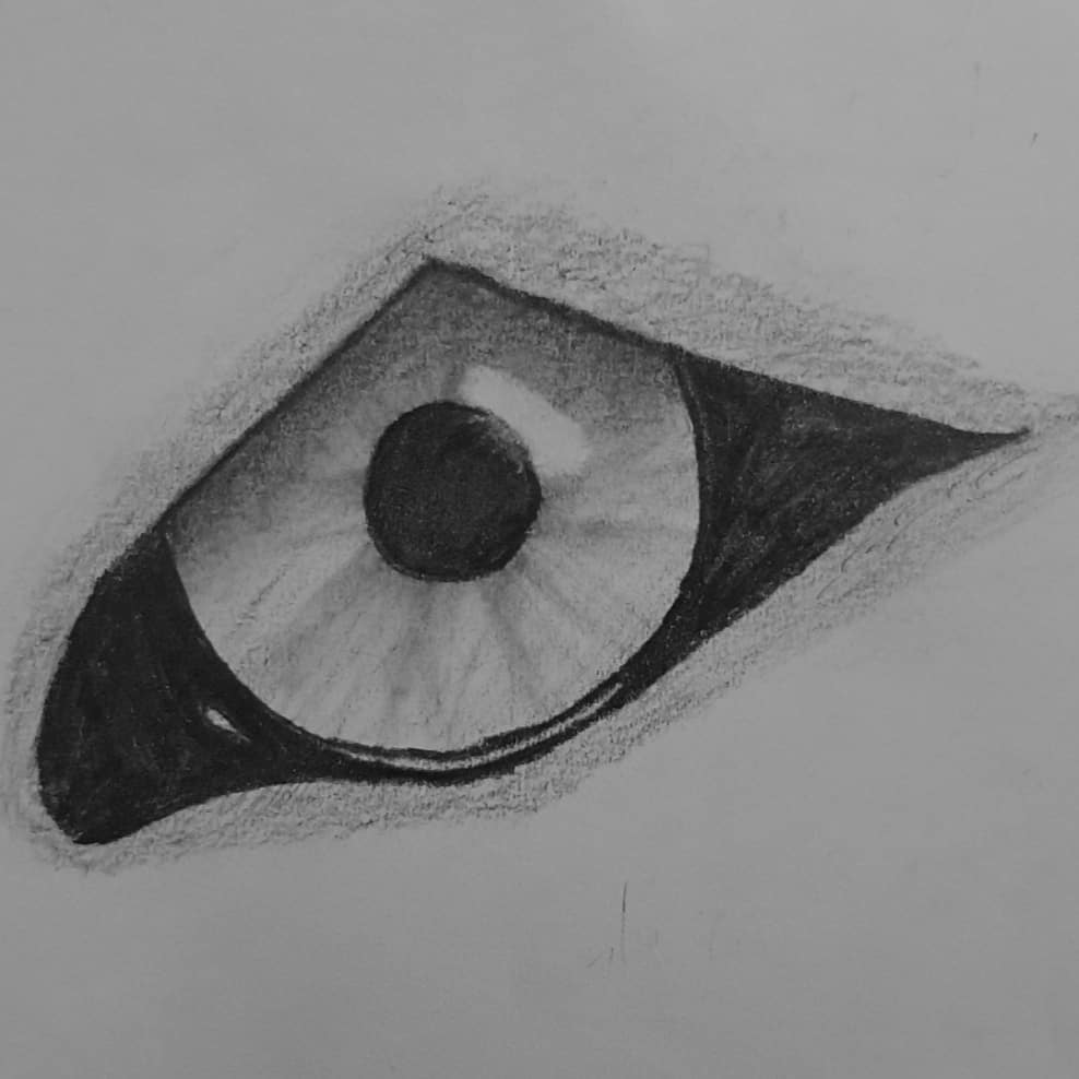 988x988 Wolfeye - Wolf Eye Sketch