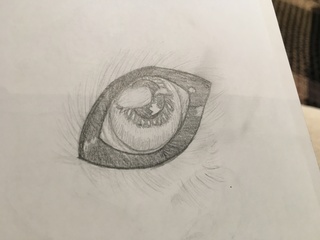 320x240 Wolfeye Drawings On Paigeeworld. Pictures Of Wolfeye - Wolf Eye Sketch