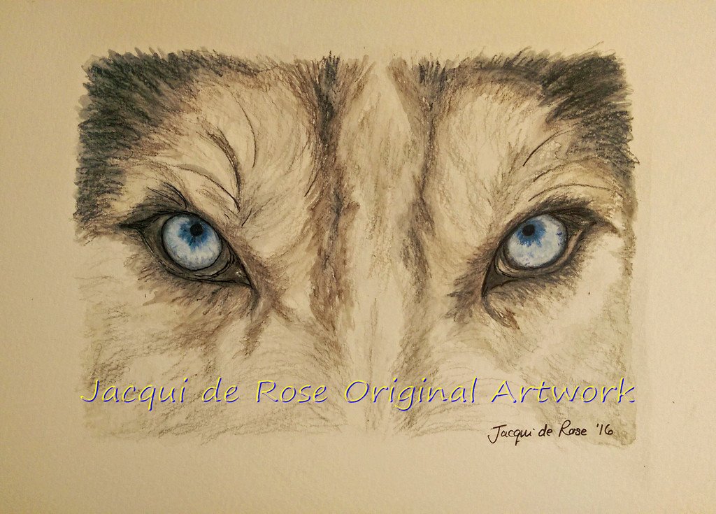 1024x735 Card - Wolf Eye Sketch
