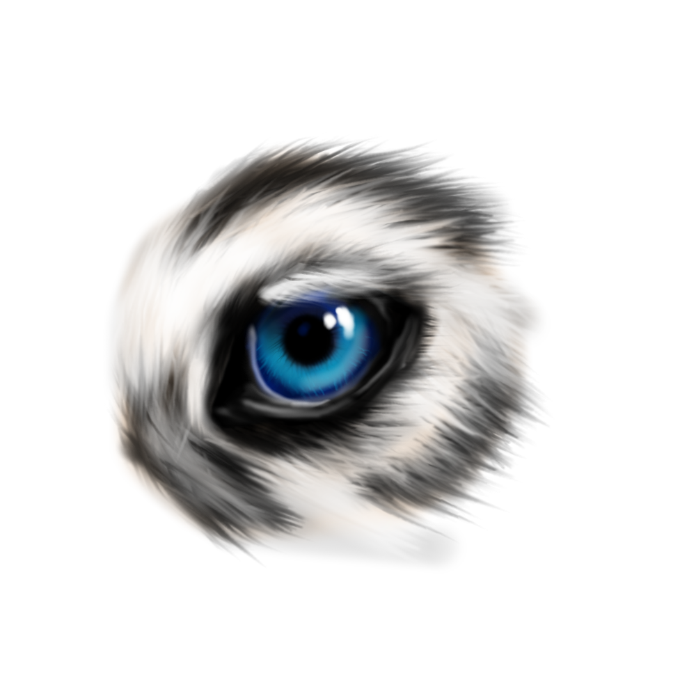 1000x1000 Collection Of Free Drawing Wolf Eye. Download On Ubisafe - Wolf Eye Sketch