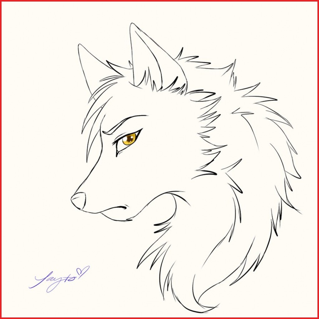 Drawing Simple Easy Wolf Face Drawing